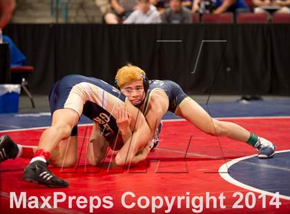 Thumbnail 1 in CIF State Wrestling Championships (Round 2) photogallery.