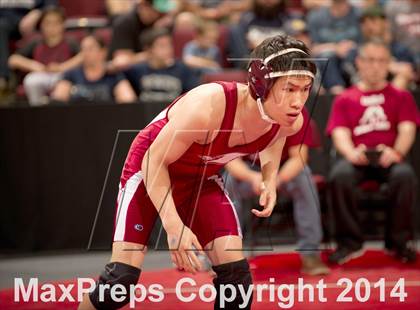Thumbnail 1 in CIF State Wrestling Championships (Round 2) photogallery.