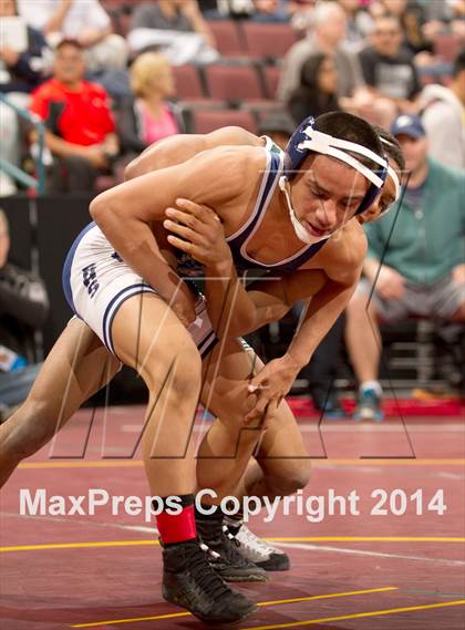 Thumbnail 3 in CIF State Wrestling Championships (Round 2) photogallery.