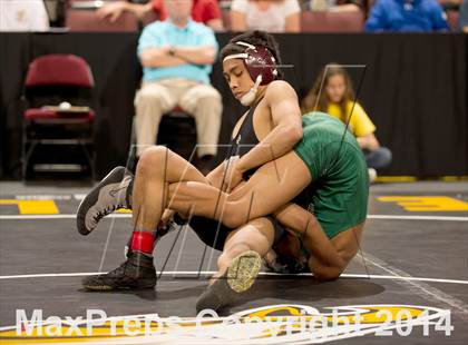 Thumbnail 2 in CIF State Wrestling Championships (Round 2) photogallery.