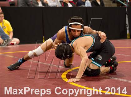Thumbnail 3 in CIF State Wrestling Championships (Round 2) photogallery.