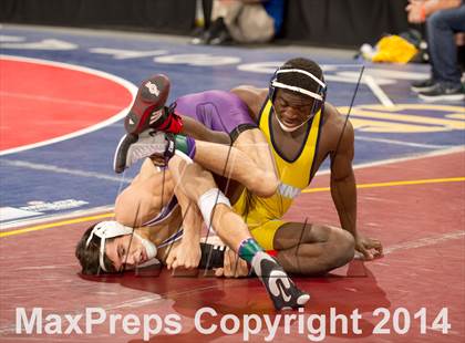 Thumbnail 3 in CIF State Wrestling Championships (Round 2) photogallery.