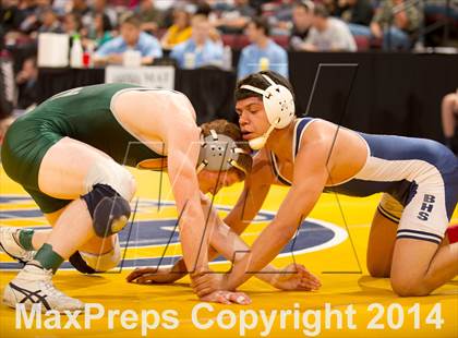Thumbnail 2 in CIF State Wrestling Championships (Round 2) photogallery.