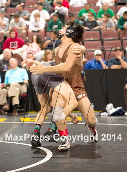 Thumbnail 3 in CIF State Wrestling Championships (Round 2) photogallery.