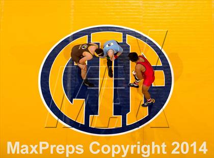 Thumbnail 3 in CIF State Wrestling Championships (Round 2) photogallery.