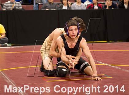 Thumbnail 1 in CIF State Wrestling Championships (Round 2) photogallery.