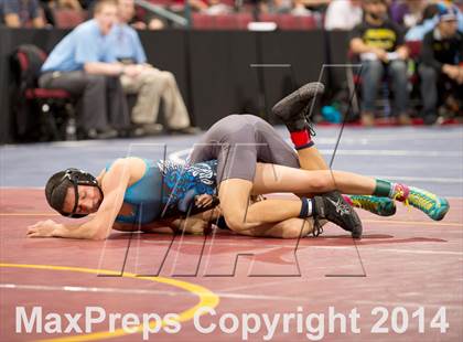 Thumbnail 2 in CIF State Wrestling Championships (Round 2) photogallery.
