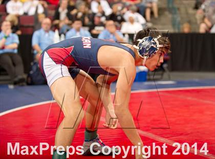 Thumbnail 3 in CIF State Wrestling Championships (Round 2) photogallery.