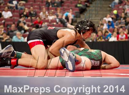 Thumbnail 3 in CIF State Wrestling Championships (Round 2) photogallery.