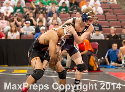 Thumbnail 3 in CIF State Wrestling Championships (Round 2) photogallery.