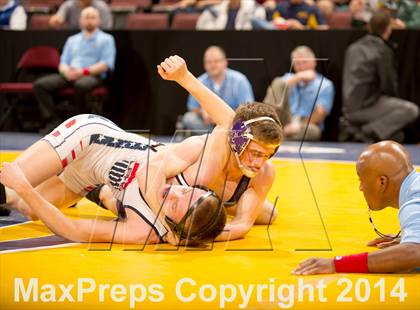 Thumbnail 2 in CIF State Wrestling Championships (Round 2) photogallery.