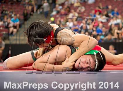 Thumbnail 2 in CIF State Wrestling Championships (Round 2) photogallery.
