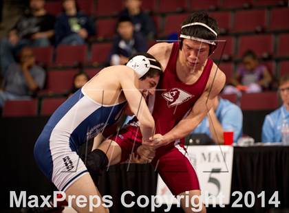 Thumbnail 3 in CIF State Wrestling Championships (Round 2) photogallery.
