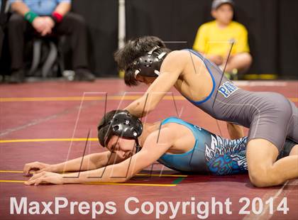 Thumbnail 3 in CIF State Wrestling Championships (Round 2) photogallery.