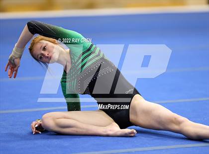 Thumbnail 1 in CHSAA Individual State Championships photogallery.