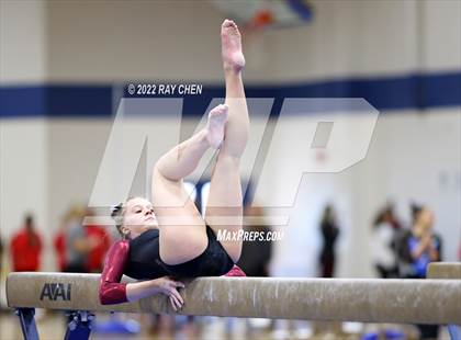 Thumbnail 1 in CHSAA Individual State Championships photogallery.