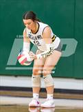 Photo from the gallery "Hernando @ Lake Cormorant"