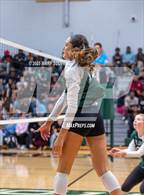 Photo from the gallery "Hernando @ Lake Cormorant"