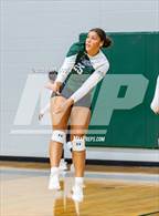 Photo from the gallery "Hernando @ Lake Cormorant"