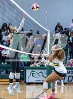 Photo from the gallery "Hernando @ Lake Cormorant"