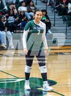 Photo from the gallery "Hernando @ Lake Cormorant"