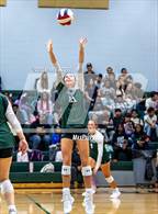 Photo from the gallery "Hernando @ Lake Cormorant"