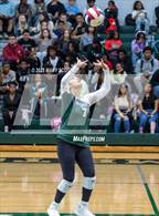 Photo from the gallery "Hernando @ Lake Cormorant"