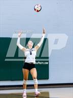 Photo from the gallery "Hernando @ Lake Cormorant"