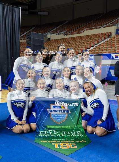 Thumbnail 1 in San Tan Foothills - Cheer (AIA Division III Final) photogallery.