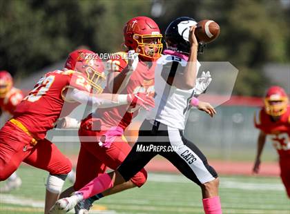 Thumbnail 2 in Franklin @ Jesuit photogallery.