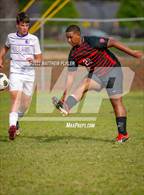 Photo from the gallery "Village Christian Academy @ Berean Baptist Academy"