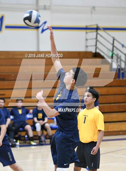 Thumbnail 1 in Everett Alvarez @ Gilroy photogallery.