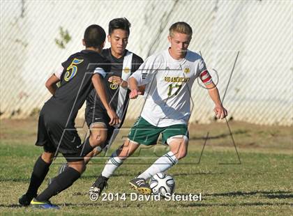 Thumbnail 2 in Lincoln @ Rio Americano (CIF SJS D3 Playoffs) photogallery.