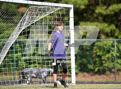 Thumbnail 3 in Holly Springs @ Panther Creek photogallery.