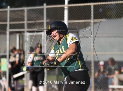 Thumbnail 2 in Royal vs Burbank photogallery.