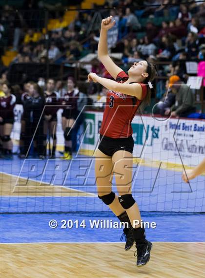 Thumbnail 3 in Penfield vs. Massapequa (NYSPHSAA Class AA Pool Play) photogallery.