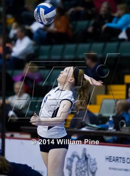 Thumbnail 3 in Penfield vs. Massapequa (NYSPHSAA Class AA Pool Play) photogallery.