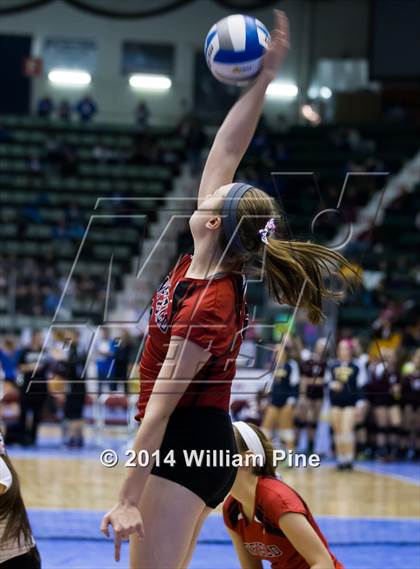 Thumbnail 2 in Penfield vs. Massapequa (NYSPHSAA Class AA Pool Play) photogallery.
