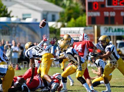 Thumbnail 2 in Aquinas @ Cardinal Gibbons photogallery.