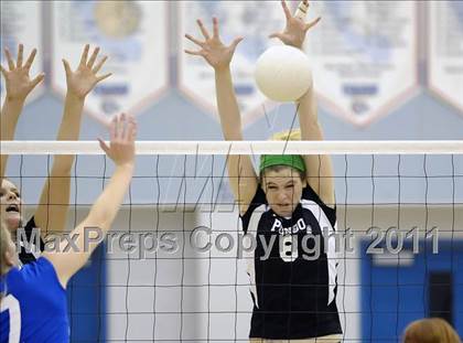 Thumbnail 3 in Ponderosa @ Folsom photogallery.