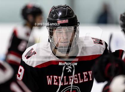 Thumbnail 2 in Wellesley @ Needham photogallery.