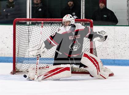 Thumbnail 2 in Wellesley @ Needham photogallery.