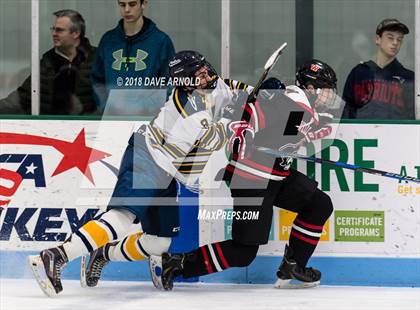 Thumbnail 3 in Wellesley @ Needham photogallery.