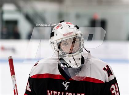 Thumbnail 3 in Wellesley @ Needham photogallery.