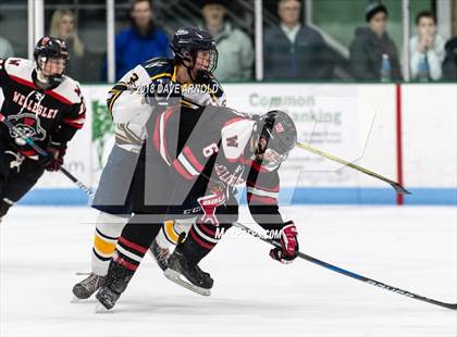 Thumbnail 2 in Wellesley @ Needham photogallery.