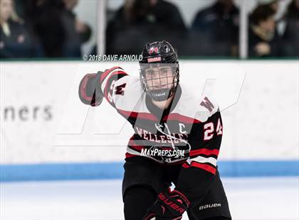 Thumbnail 2 in Wellesley @ Needham photogallery.