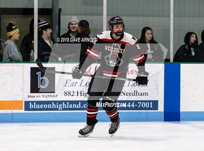 Thumbnail 1 in Wellesley @ Needham photogallery.
