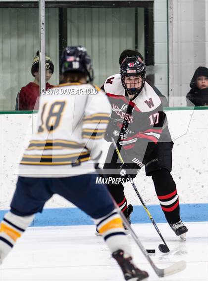 Thumbnail 1 in Wellesley @ Needham photogallery.