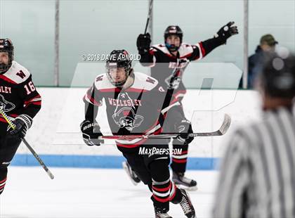 Thumbnail 3 in Wellesley @ Needham photogallery.