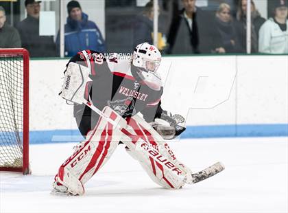 Thumbnail 3 in Wellesley @ Needham photogallery.